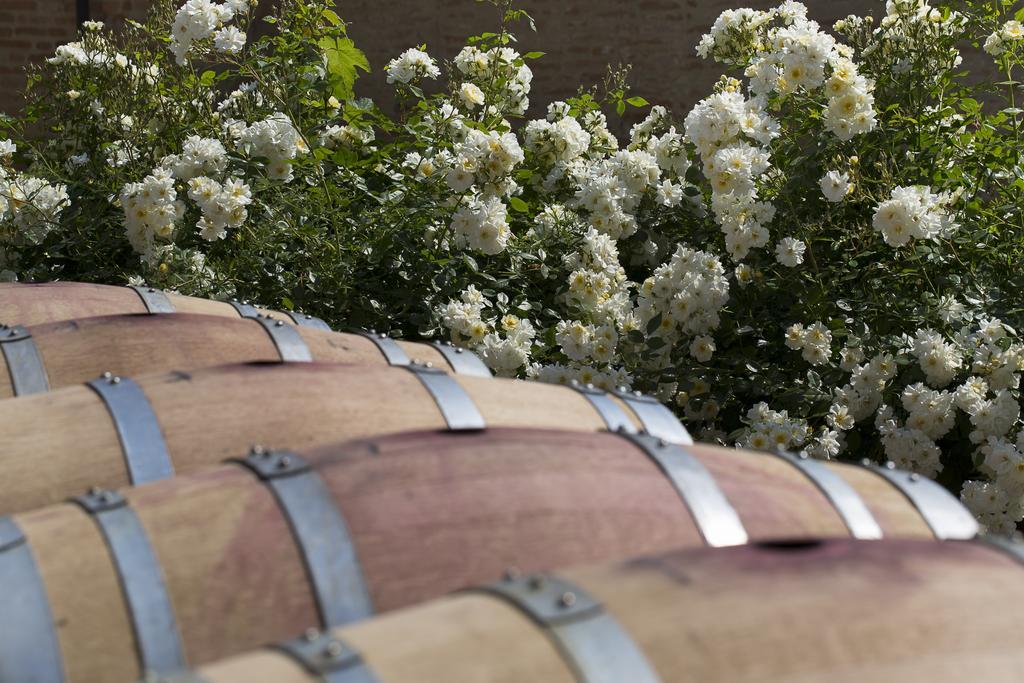 Marchesi Alfieri - Cantine E Ospitalita Alojamento de Acomodação e Pequeno-almoço *